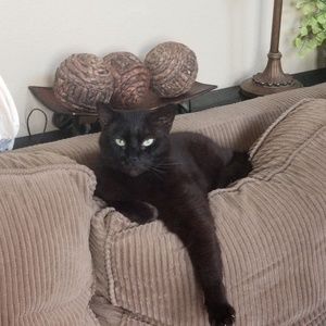 Meet your Posher, Belen